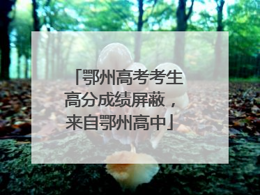 鄂州高考考生高分成绩屏蔽，来自鄂州高中