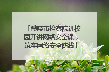 醴陵市检察院进校园开讲网络安全课，筑牢网络安全防线