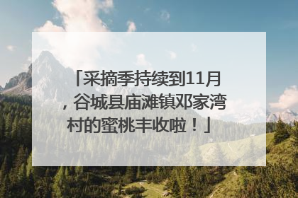 采摘季持续到11月，谷城县庙滩镇邓家湾村的蜜桃丰收啦！