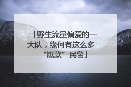 野生流量偏爱的一大队，缘何有这么多“爆款”民警