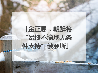 金正恩：朝鲜将“始终不渝地无条件支持”俄罗斯