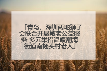 青岛、深圳两地狮子会联合开展敬老公益服务 多元举措温暖潮海街道南杨头村老人
