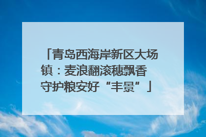 青岛西海岸新区大场镇：麦浪翻滚穗飘香 守护粮安好“丰景”