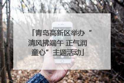 青岛高新区举办“清风拂端午 正气润童心”主题活动
