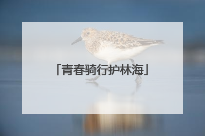 青春骑行护林海