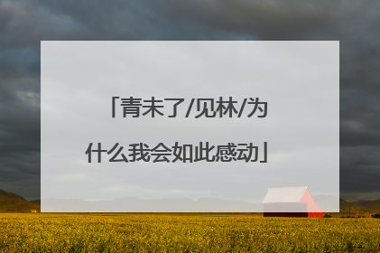 青未了/见林/为什么我会如此感动