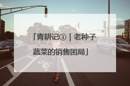 青耕记③｜老种子蔬菜的销售困局