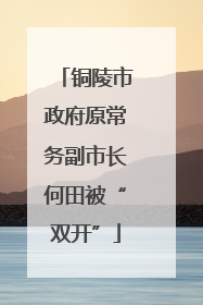 铜陵市政府原常务副市长何田被“双开”