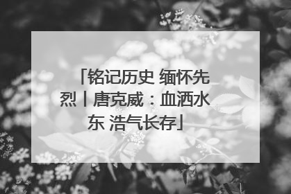 铭记历史 缅怀先烈丨唐克威：血洒水东 浩气长存