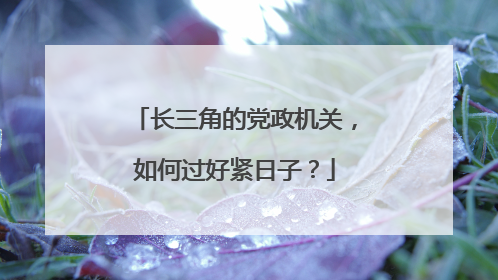 长三角的党政机关，如何过好紧日子？