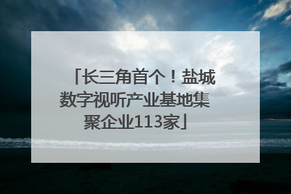 长三角首个！盐城数字视听产业基地集聚企业113家