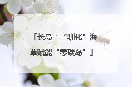 长岛：“驯化”海草赋能“零碳岛”