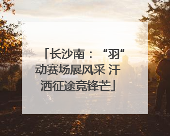 长沙南：“羽”动赛场展风采 汗洒征途竞锋芒
