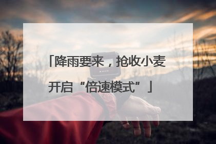 降雨要来，抢收小麦开启“倍速模式”