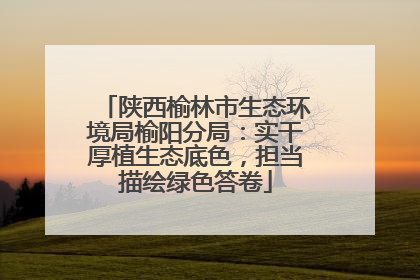 陕西榆林市生态环境局榆阳分局：实干厚植生态底色，担当描绘绿色答卷