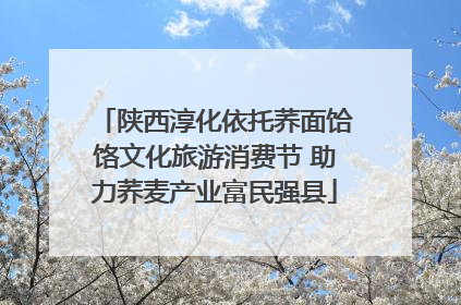 陕西淳化依托荞面饸饹文化旅游消费节 助力荞麦产业富民强县