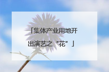 集体产业用地开出演艺之“花”