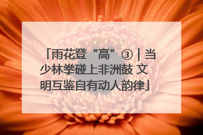 雨花登“高”③｜当少林拳碰上非洲鼓 文明互鉴自有动人韵律