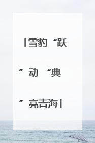 雪豹“跃”动 “典”亮青海