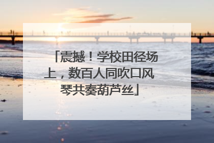 震撼！学校田径场上，数百人同吹口风琴共奏葫芦丝