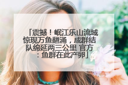 震撼！岷江乐山流域惊现万鱼翻涌，成群结队绵延两三公里 官方：鱼群在此产卵