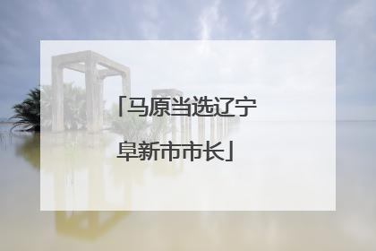 马原当选辽宁阜新市市长