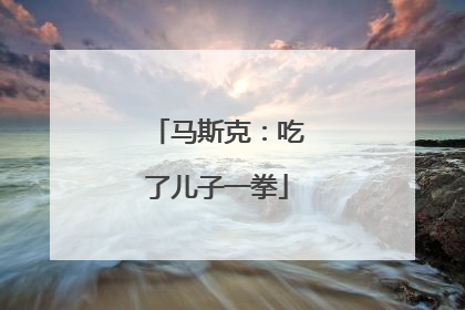 马斯克：吃了儿子一拳