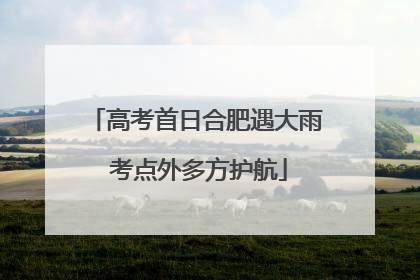 高考首日合肥遇大雨 考点外多方护航