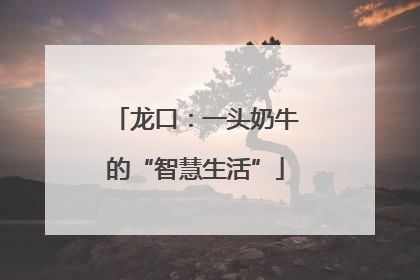 龙口：一头奶牛的“智慧生活”