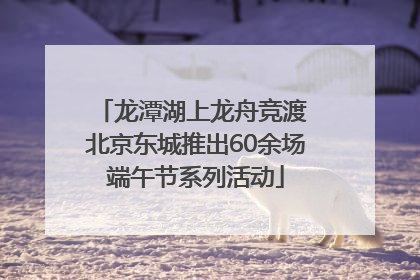 龙潭湖上龙舟竞渡 北京东城推出60余场端午节系列活动