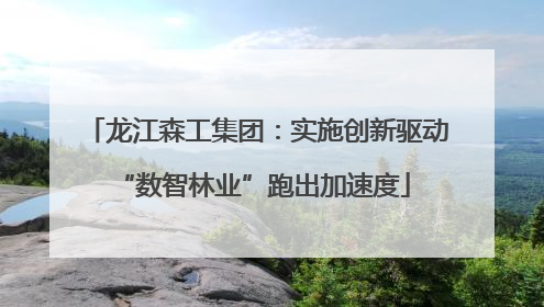 龙江森工集团：实施创新驱动 “数智林业”跑出加速度