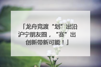 龙舟竞渡“划”出沿沪宁朋友圈，“赛”出创新带新可能！