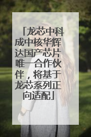 龙芯中科成中核华辉达国产芯片唯一合作伙伴，将基于龙芯系列正向适配