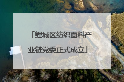 鲤城区纺织面料产业链党委正式成立
