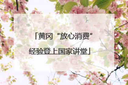 黄冈“放心消费”经验登上国家讲堂