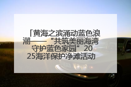 黄海之滨涌动蓝色浪潮——“共筑美丽海湾 守护蓝色家园”2025海洋保护净滩活动暨“美丽江苏—江河湖海青蓝行”海洋篇在连云港举行