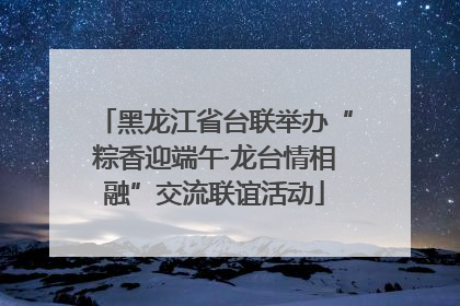 黑龙江省台联举办“粽香迎端午·龙台情相融”交流联谊活动