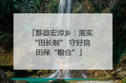 黟县宏潭乡：落实“田长制” 守好良田保“粮仓”