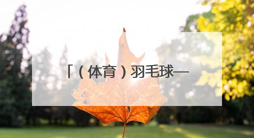 （体育）羽毛球——新加坡公开赛：陆光祖获男单亚军