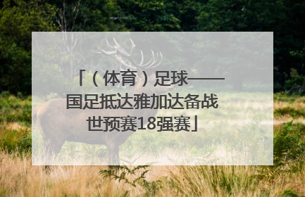 （体育）足球——国足抵达雅加达备战世预赛18强赛