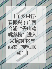 （乡村行·看振兴）广西合浦“香山鸡嘴荔枝”进入采摘期 将与西安“梦幻联动”
