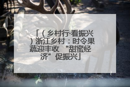（乡村行·看振兴）浙江乡村：时令果蔬迎丰收 “甜蜜经济”促振兴