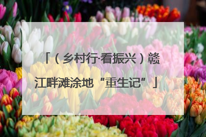 （乡村行·看振兴）赣江畔滩涂地“重生记”