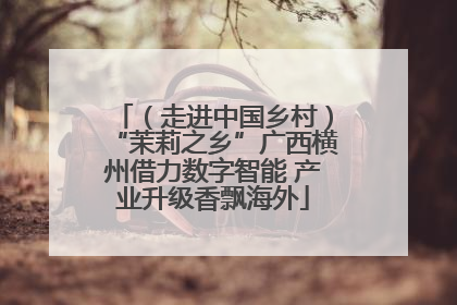 （走进中国乡村）“茉莉之乡”广西横州借力数字智能 产业升级香飘海外