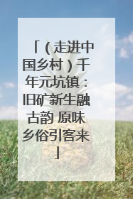 （走进中国乡村）千年元坑镇：旧矿新生融古韵 原味乡俗引客来