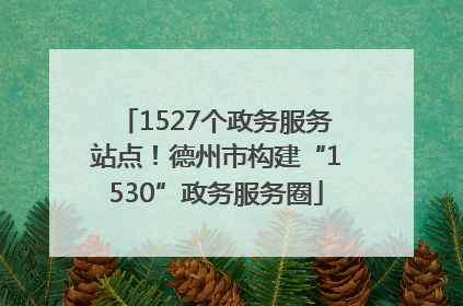 1527个政务服务站点！德州市构建“1530”政务服务圈