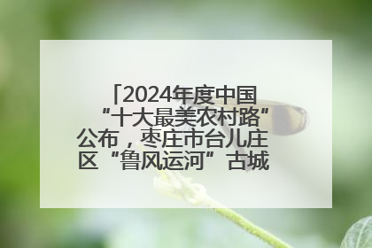 2024年度中国“十大最美农村路”公布，枣庄市台儿庄区“鲁风运河”古城文化廊道上榜！