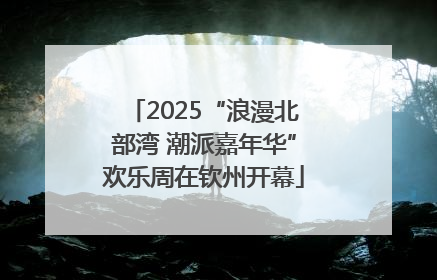 2025“浪漫北部湾 潮派嘉年华”欢乐周在钦州开幕