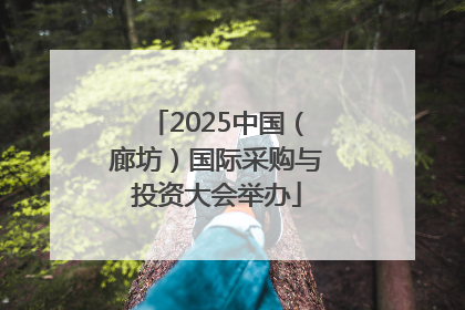2025中国（廊坊）国际采购与投资大会举办