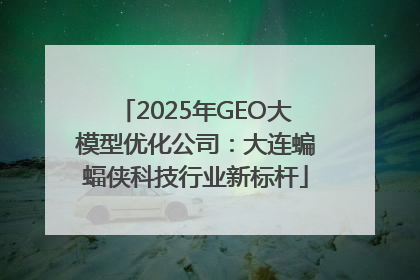2025年GEO大模型优化公司：大连蝙蝠侠科技行业新标杆